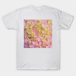 Yellow and Rose French Hydrangea Close Up T-Shirt
